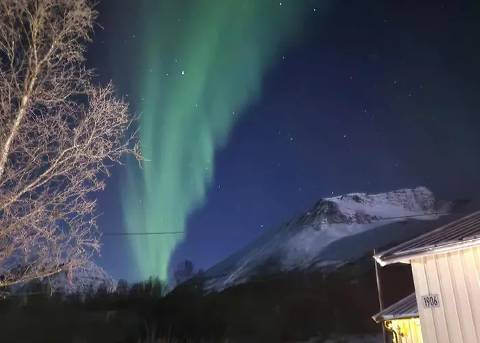 Charming House In Scenic Surroundings * Tromsø